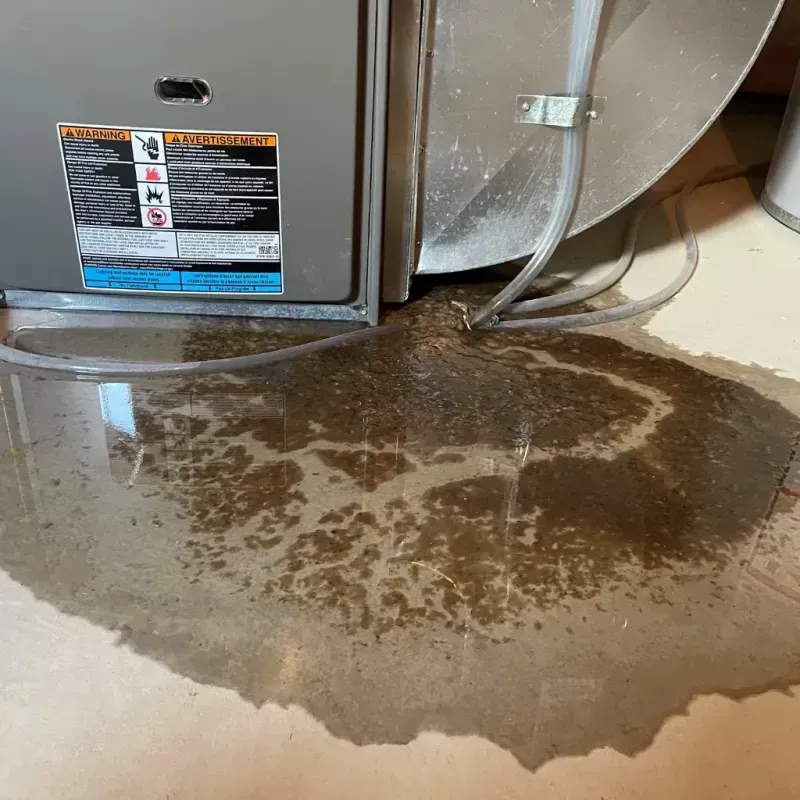 Appliance Leak Cleanup in Villa Grove, IL